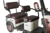 Электротрицикл Rutrike Gelbert Sarin 48V/60V 1000Вт коричнево-белый