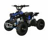 ATV CAT 50 Бензиновый 