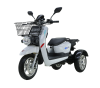 Трехколесный электроскутер Рорикс ET-R 120