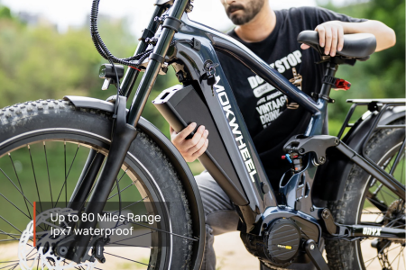 Электровелосипед MOKWHEEL ONYX синий