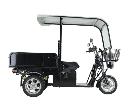 Грузовой электроскутер трицикл Рорикс ET-G90